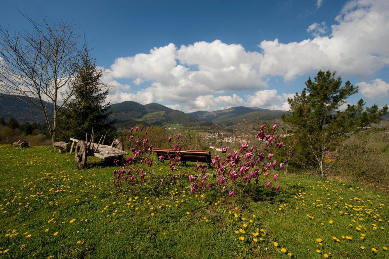 Apartamentos Turisticos Bizkar Bare Sopuerta Bagian luar foto